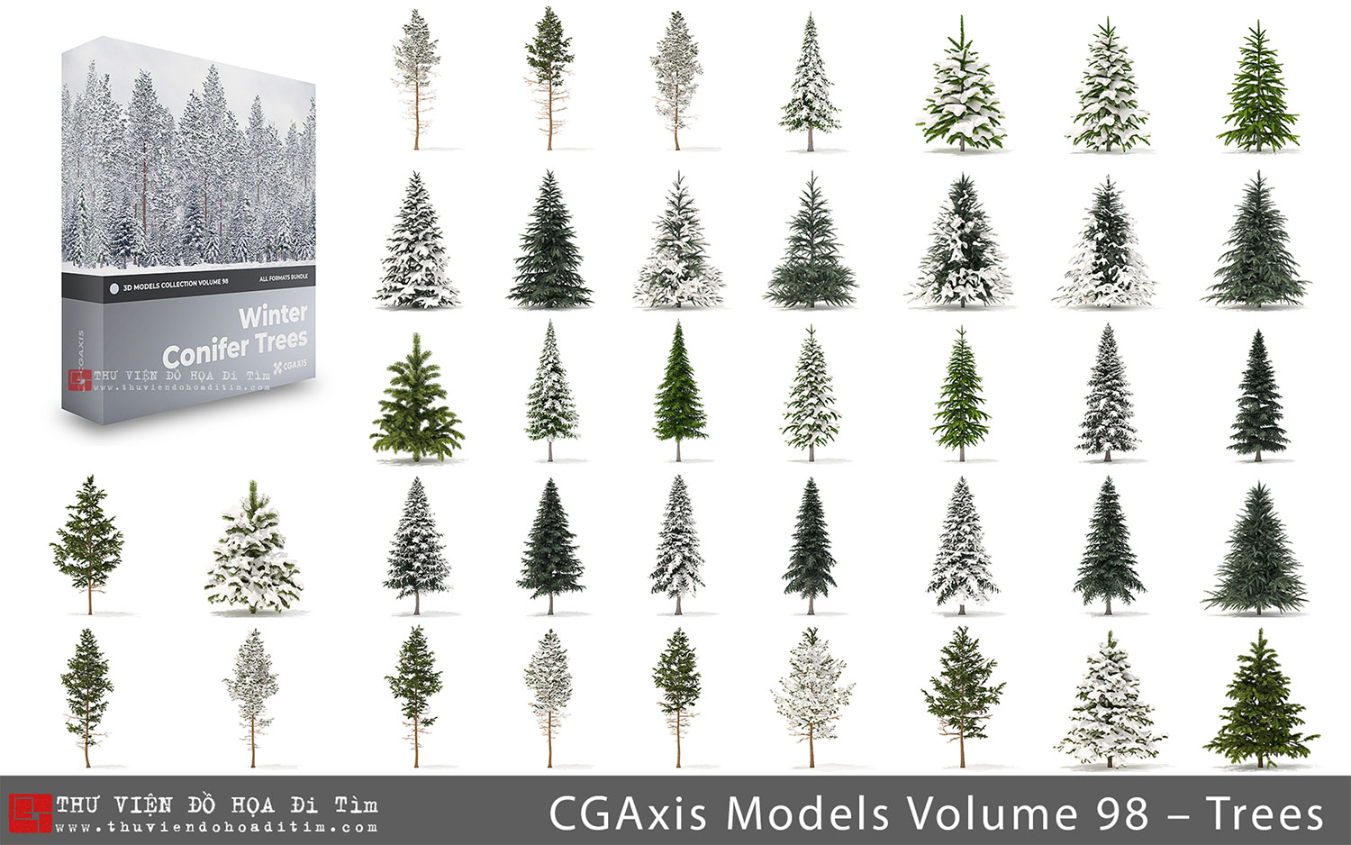 CGAxis Models Volume 98 – Winter Conifer Trees Collection_Ditim