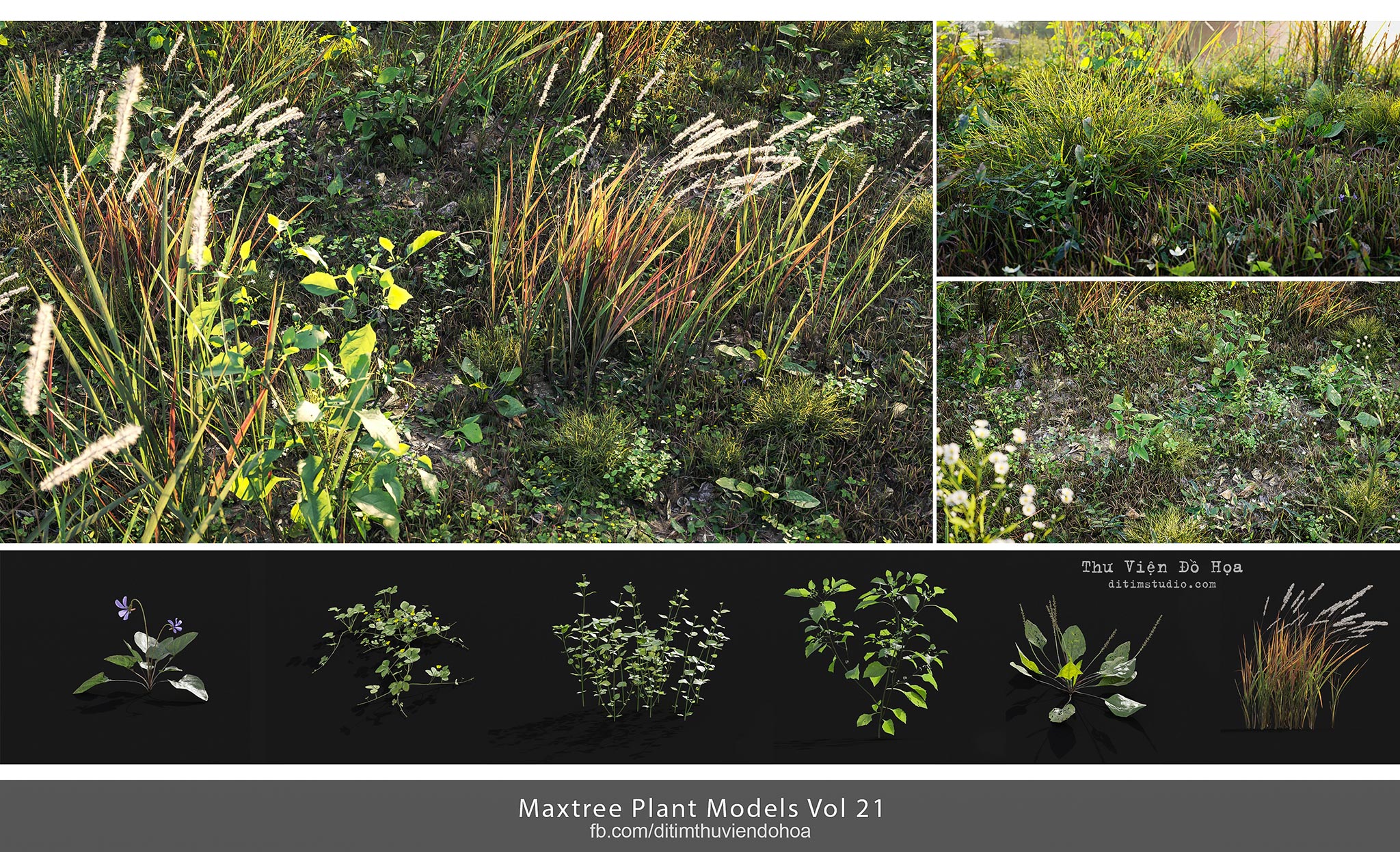 [ 3dsmax ] Maxtree Plant Models Vol 21